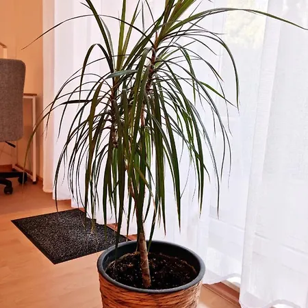 アパート Brise Business Nahe Leipziger Messe - Porsche - Bmw - Dhl - Wlan - Parkplatz - Business Travelers Only ライプツィヒ