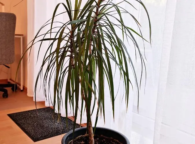 Апартаменты Brise Business Nahe Leipziger Messe - Porsche - Bmw - Dhl - Wlan - Parkplatz - Business Travelers Only Лейпциг